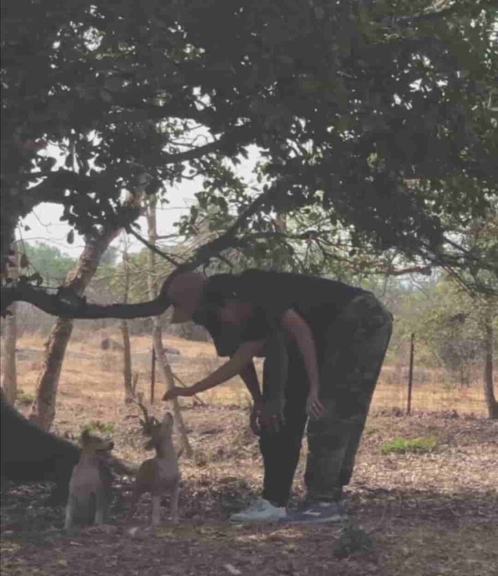 Anushka Sharma and Virat Kohli