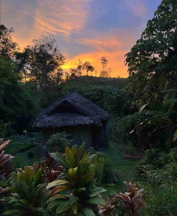 Katrina Kaif And Vicky Kaushal (2)